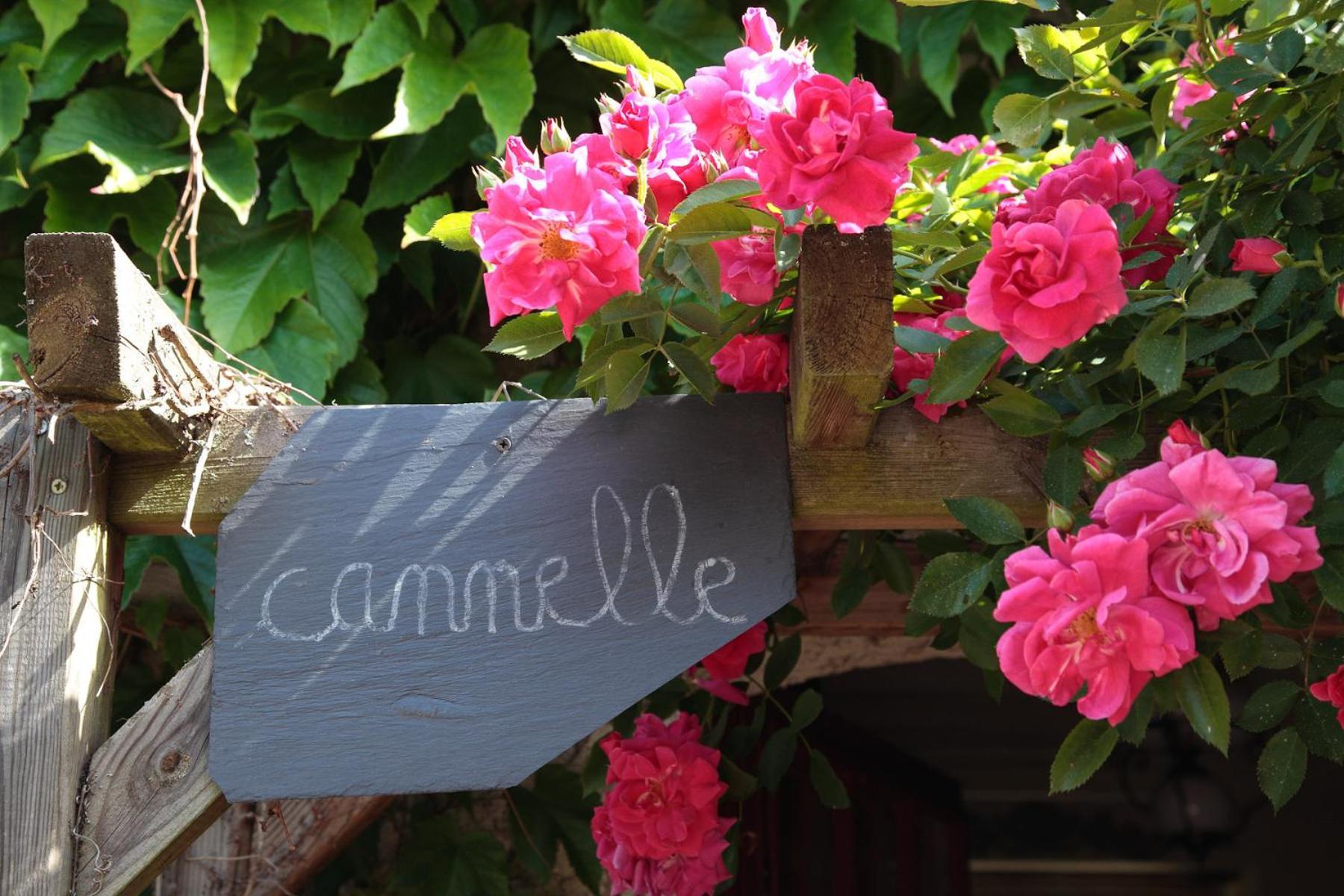 Maison D'Hotes La Chouanniere Bed and Breakfast Les Bois-d'Anjou Exterior foto